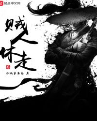 贼人休走txt全文下载