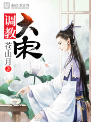 调教大宋演员表